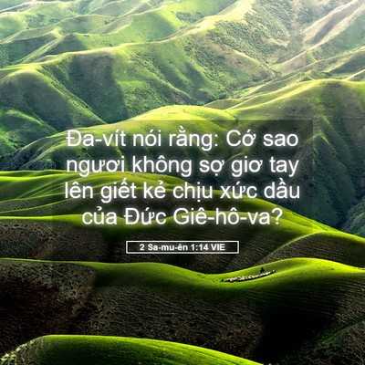 Picture 05 - 2 Sa-mu-ên 1:14 VIE - Đa-vít nói rằng: Cớ sao ngươi không - Bible Verse Picture