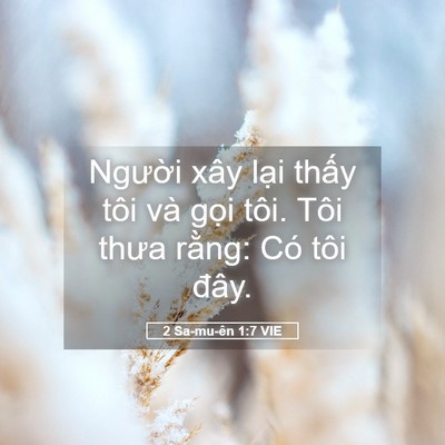Picture 05 - 2 Sa-mu-ên 1:7 VIE - Người xây lại thấy tôi và gọi tôi. - Bible Verse Picture