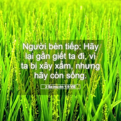Picture 05 - 2 Sa-mu-ên 1:9 VIE - Người bèn tiếp: Hãy lại gần giết ta - Bible Verse Picture