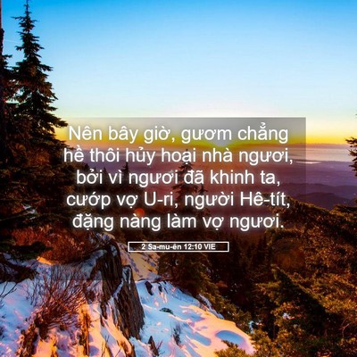 Picture 05 - 2 Sa-mu-ên 12:10 VIE - Nên bây giờ, gươm chẳng hề thôi hủy - Bible Verse Picture