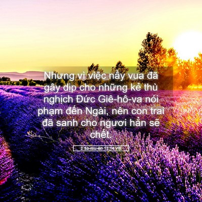 Picture 05 - 2 Sa-mu-ên 12:14 VIE - Nhưng vì việc nầy vua đã gây dịp cho - Bible Verse Picture