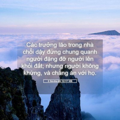 Picture 05 - 2 Sa-mu-ên 12:17 VIE - Các trưởng lão trong nhà chổi dậy - Bible Verse Picture
