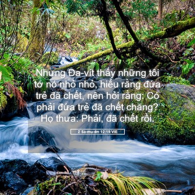 Picture 05 - 2 Sa-mu-ên 12:19 VIE - Nhưng Đa-vít thấy những tôi tớ nó - Bible Verse Picture