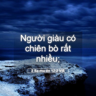 Picture 05 - 2 Sa-mu-ên 12:2 VIE - Người giàu có chiên bò rất - Bible Verse Picture