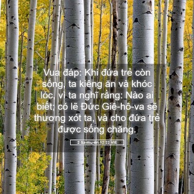 Picture 05 - 2 Sa-mu-ên 12:22 VIE - Vua đáp: Khi đứa trẻ còn sống, ta - Bible Verse Picture
