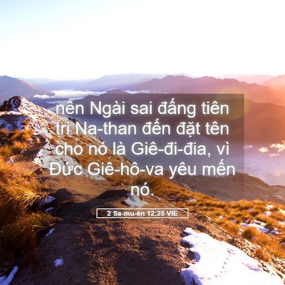 Picture 05 - 2 Sa-mu-ên 12:25 VIE - nên Ngài sai đấng tiên tri Na-than đến - Bible Verse Picture