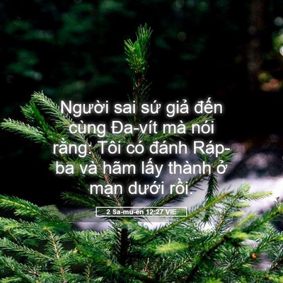 Picture 05 - 2 Sa-mu-ên 12:27 VIE - Người sai sứ giả đến cùng Đa-vít mà - Bible Verse Picture