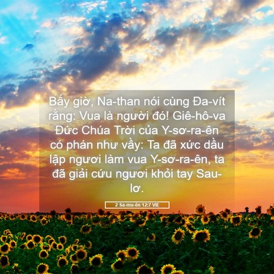 Picture 05 - 2 Sa-mu-ên 12:7 VIE - Bấy giờ, Na-than nói cùng Đa-vít rằng: - Bible Verse Picture