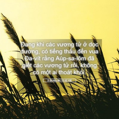 Picture 05 - 2 Sa-mu-ên 13:30 VIE - Đang khi các vương tử ở dọc đường, - Bible Verse Picture