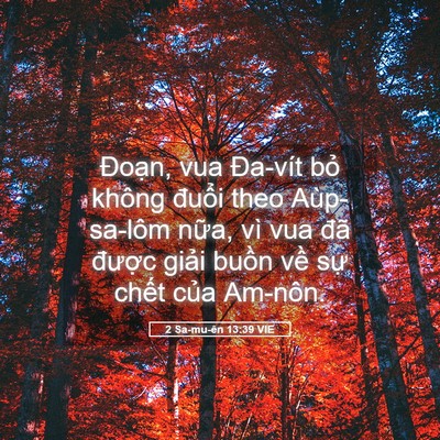 Picture 05 - 2 Sa-mu-ên 13:39 VIE - Đoạn, vua Đa-vít bỏ không đuổi theo - Bible Verse Picture