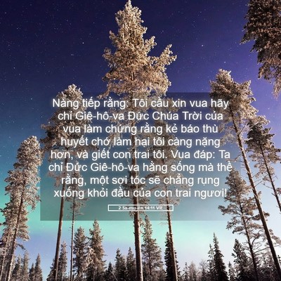 Picture 05 - 2 Sa-mu-ên 14:11 VIE - Nàng tiếp rằng: Tôi cầu xin vua hãy - Bible Verse Picture