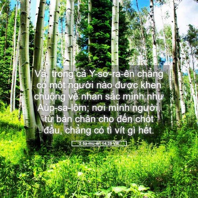 Picture 05 - 2 Sa-mu-ên 14:25 VIE - Vả, trong cả Y-sơ-ra-ên chẳng có một - Bible Verse Picture