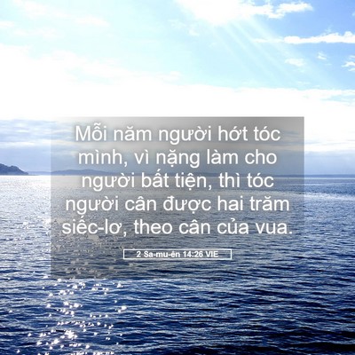 Picture 05 - 2 Sa-mu-ên 14:26 VIE - Mỗi năm người hớt tóc mình, vì nặng - Bible Verse Picture