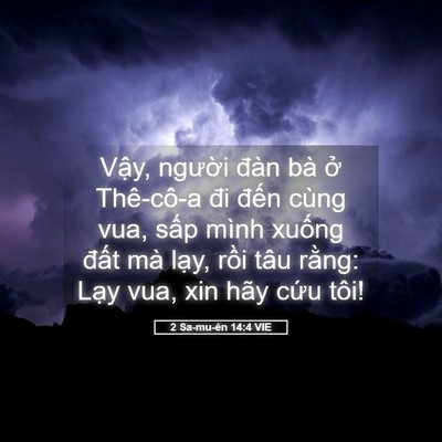 Picture 05 - 2 Sa-mu-ên 14:4 VIE - Vậy, người đàn bà ở Thê-cô-a đi - Bible Verse Picture