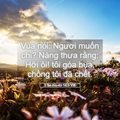 Picture 05 - 2 Sa-mu-ên 14:5 VIE - Vua nói: Ngươi muốn chi? Nàng thưa rằng: - Bible Verse Picture