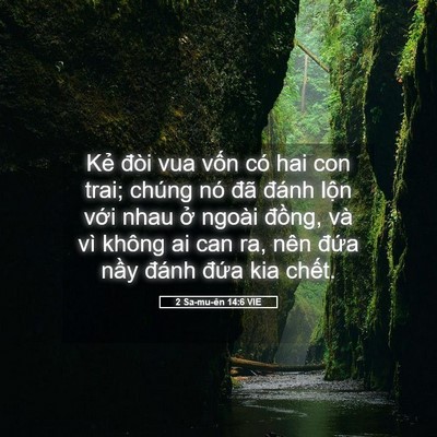 Picture 05 - 2 Sa-mu-ên 14:6 VIE - Kẻ đòi vua vốn có hai con trai; chúng nó - Bible Verse Picture