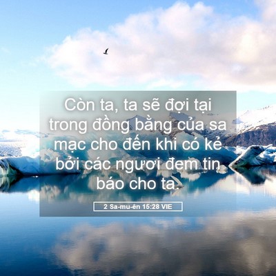 Picture 05 - 2 Sa-mu-ên 15:28 VIE - Còn ta, ta sẽ đợi tại trong đồng - Bible Verse Picture