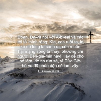 Picture 05 - 2 Sa-mu-ên 16:11 VIE - Đoạn, Đa-vít nói với A-bi-sai và các - Bible Verse Picture