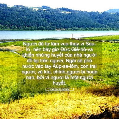 Picture 05 - 2 Sa-mu-ên 16:8 VIE - Người đã tự làm vua thay vì Sau-lơ, - Bible Verse Picture