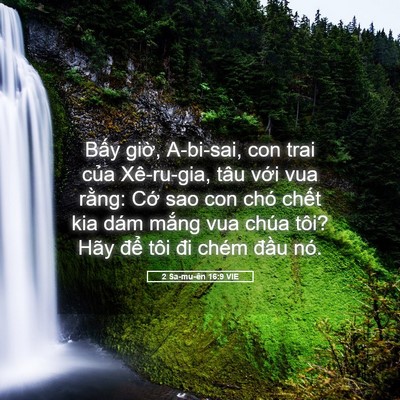 Picture 05 - 2 Sa-mu-ên 16:9 VIE - Bấy giờ, A-bi-sai, con trai của Xê-ru-gia, - Bible Verse Picture