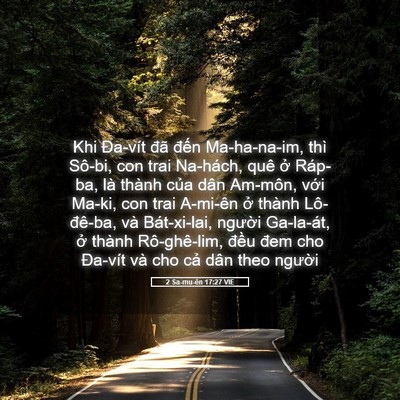 Picture 05 - 2 Sa-mu-ên 17:27 VIE - Khi Đa-vít đã đến Ma-ha-na-im, thì - Bible Verse Picture