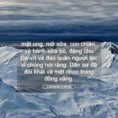 Picture 05 - 2 Sa-mu-ên 17:29 VIE - mật ong, mỡ sữa, con chiên, và bánh - Bible Verse Picture