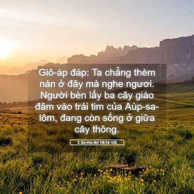 Picture 05 - 2 Sa-mu-ên 18:14 VIE - Giô-áp đáp: Ta chẳng thèm nán ở đây - Bible Verse Picture