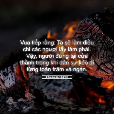 Picture 05 - 2 Sa-mu-ên 18:4 VIE - Vua tiếp rằng: Ta sẽ làm điều chi các - Bible Verse Picture