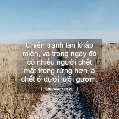 Picture 05 - 2 Sa-mu-ên 18:8 VIE - Chiến tranh lan khắp miền, và trong ngày - Bible Verse Picture