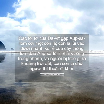 Picture 05 - 2 Sa-mu-ên 18:9 VIE - Các tôi tớ của Đa-vít gặp Aùp-sa-lôm - Bible Verse Picture