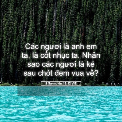 Picture 05 - 2 Sa-mu-ên 19:12 VIE - Các ngươi là anh em ta, là cốt nhục ta. - Bible Verse Picture
