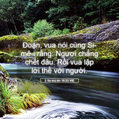 Picture 05 - 2 Sa-mu-ên 19:23 VIE - Đoạn, vua nói cùng Si-mê-i rằng: Ngươi - Bible Verse Picture