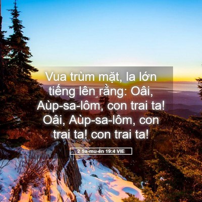 Picture 05 - 2 Sa-mu-ên 19:4 VIE - Vua trùm mặt, la lớn tiếng lên rằng: - Bible Verse Picture