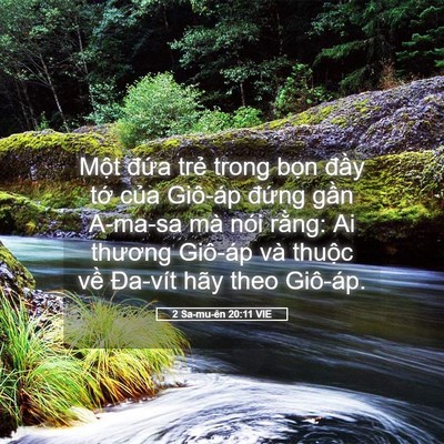 Picture 05 - 2 Sa-mu-ên 20:11 VIE - Một đứa trẻ trong bọn đầy tớ của - Bible Verse Picture