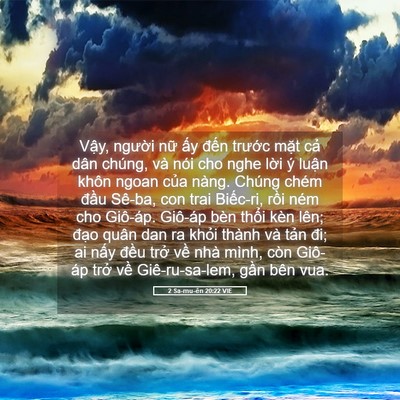 Picture 05 - 2 Sa-mu-ên 20:22 VIE - Vậy, người nữ ấy đến trước mặt - Bible Verse Picture