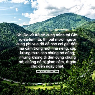 Picture 05 - 2 Sa-mu-ên 20:3 VIE - Khi Đa-vít trở về cung mình tại - Bible Verse Picture