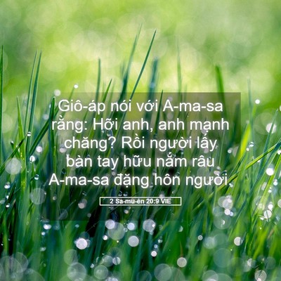 Picture 05 - 2 Sa-mu-ên 20:9 VIE - Giô-áp nói với A-ma-sa rằng: Hỡi anh, - Bible Verse Picture