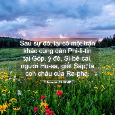 Picture 05 - 2 Sa-mu-ên 21:18 VIE - Sau sự đó, lại có một trận khác cùng - Bible Verse Picture
