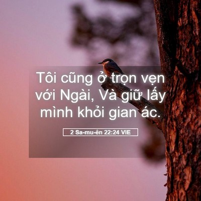 Picture 05 - 2 Sa-mu-ên 22:24 VIE - Tôi cũng ở trọn vẹn với Ngài, Và - Bible Verse Picture