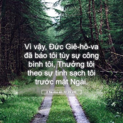 Picture 05 - 2 Sa-mu-ên 22:25 VIE - Vì vậy, Đức Giê-hô-va đã báo tôi tùy - Bible Verse Picture