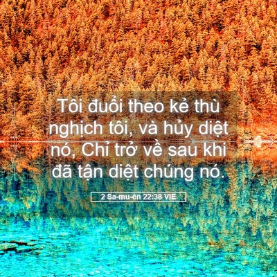 Picture 05 - 2 Sa-mu-ên 22:38 VIE - Tôi đuổi theo kẻ thù nghịch tôi, và - Bible Verse Picture