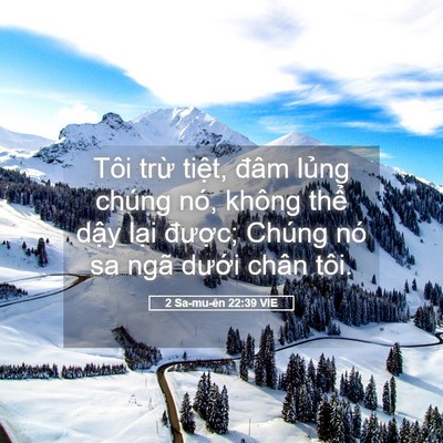 Picture 05 - 2 Sa-mu-ên 22:39 VIE - Tôi trừ tiệt, đâm lủng chúng nó, - Bible Verse Picture