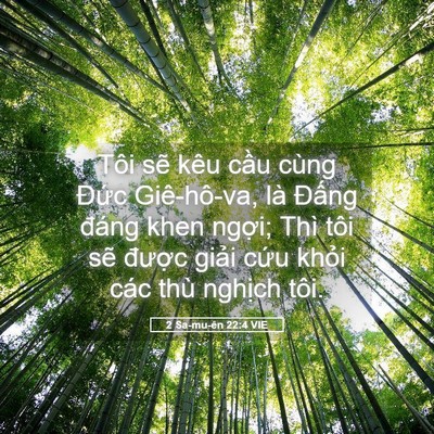 Picture 05 - 2 Sa-mu-ên 22:4 VIE - Tôi sẽ kêu cầu cùng Đức Giê-hô-va, - Bible Verse Picture