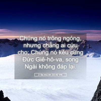 Picture 05 - 2 Sa-mu-ên 22:42 VIE - Chúng nó trông ngóng, nhưng chẳng ai cứu - Bible Verse Picture
