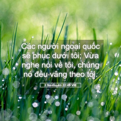 Picture 05 - 2 Sa-mu-ên 22:45 VIE - Các người ngoại quốc sẽ phục dưới - Bible Verse Picture