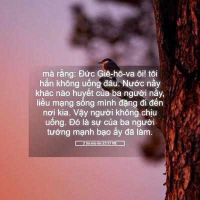 Picture 05 - 2 Sa-mu-ên 23:17 VIE - mà rằng: Đức Giê-hô-va ôi! tôi hẳn - Bible Verse Picture