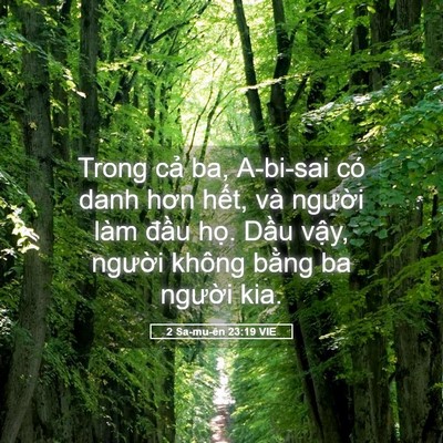 Picture 05 - 2 Sa-mu-ên 23:19 VIE - Trong cả ba, A-bi-sai có danh hơn hết, và - Bible Verse Picture