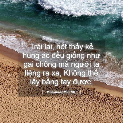 Picture 05 - 2 Sa-mu-ên 23:6 VIE - Trái lại, hết thảy kẻ hung ác đều - Bible Verse Picture
