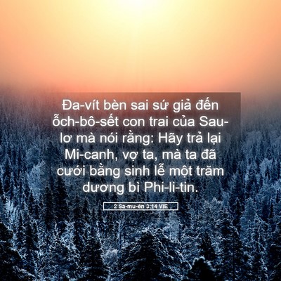 Picture 05 - 2 Sa-mu-ên 3:14 VIE - Đa-vít bèn sai sứ giả đến - Bible Verse Picture