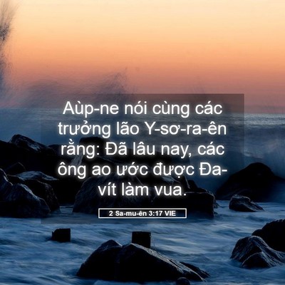 Picture 05 - 2 Sa-mu-ên 3:17 VIE - Aùp-ne nói cùng các trưởng lão - Bible Verse Picture